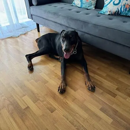 Appartamento O Lar De Raxó
